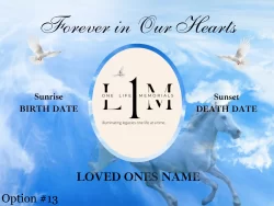 Heavenly Ascent Tribute Design (Option #13)