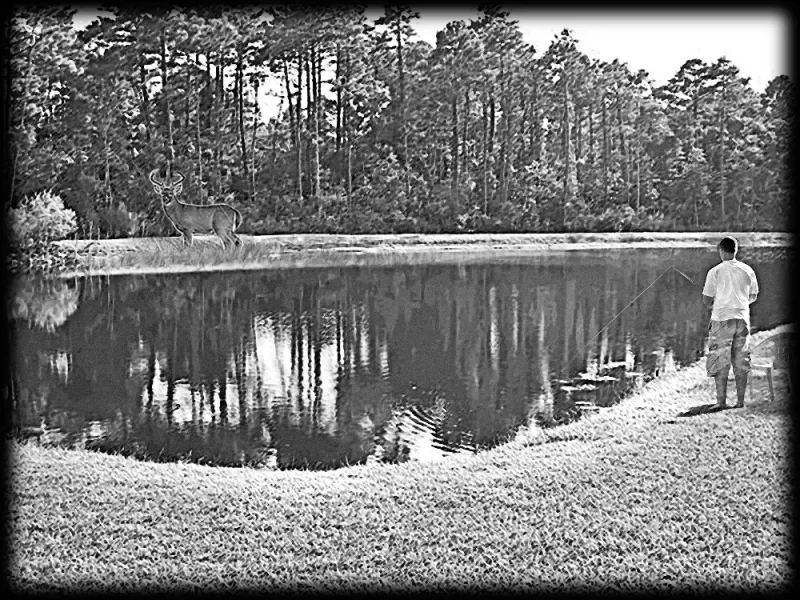 Lakeside Fishing Memorial Artwork with Deer Silhouette [ART-5005]