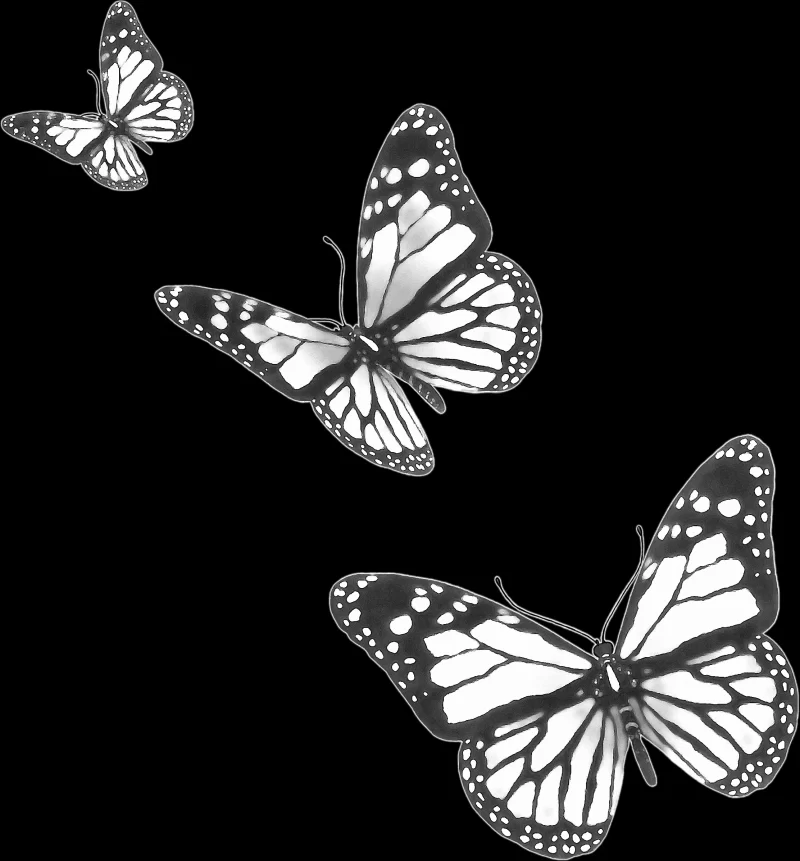 Monarch Butterfly Trio Memorial Artwork [ART-5020]