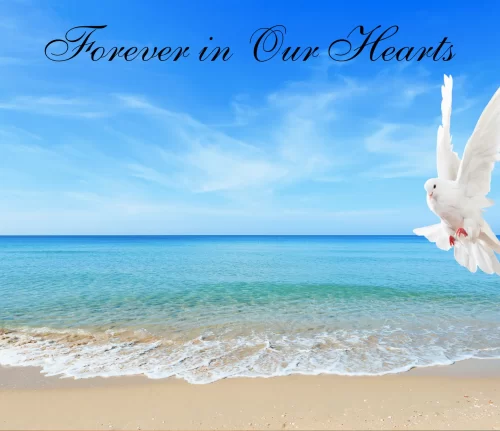 Ocean Back Ground with Dove